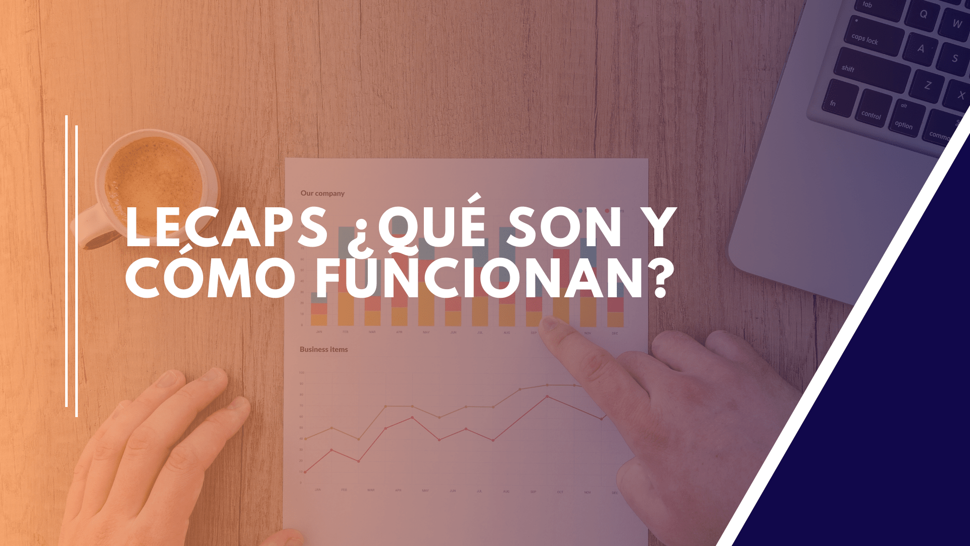 Lee más sobre el artículo LECAPs ¿Qué son?