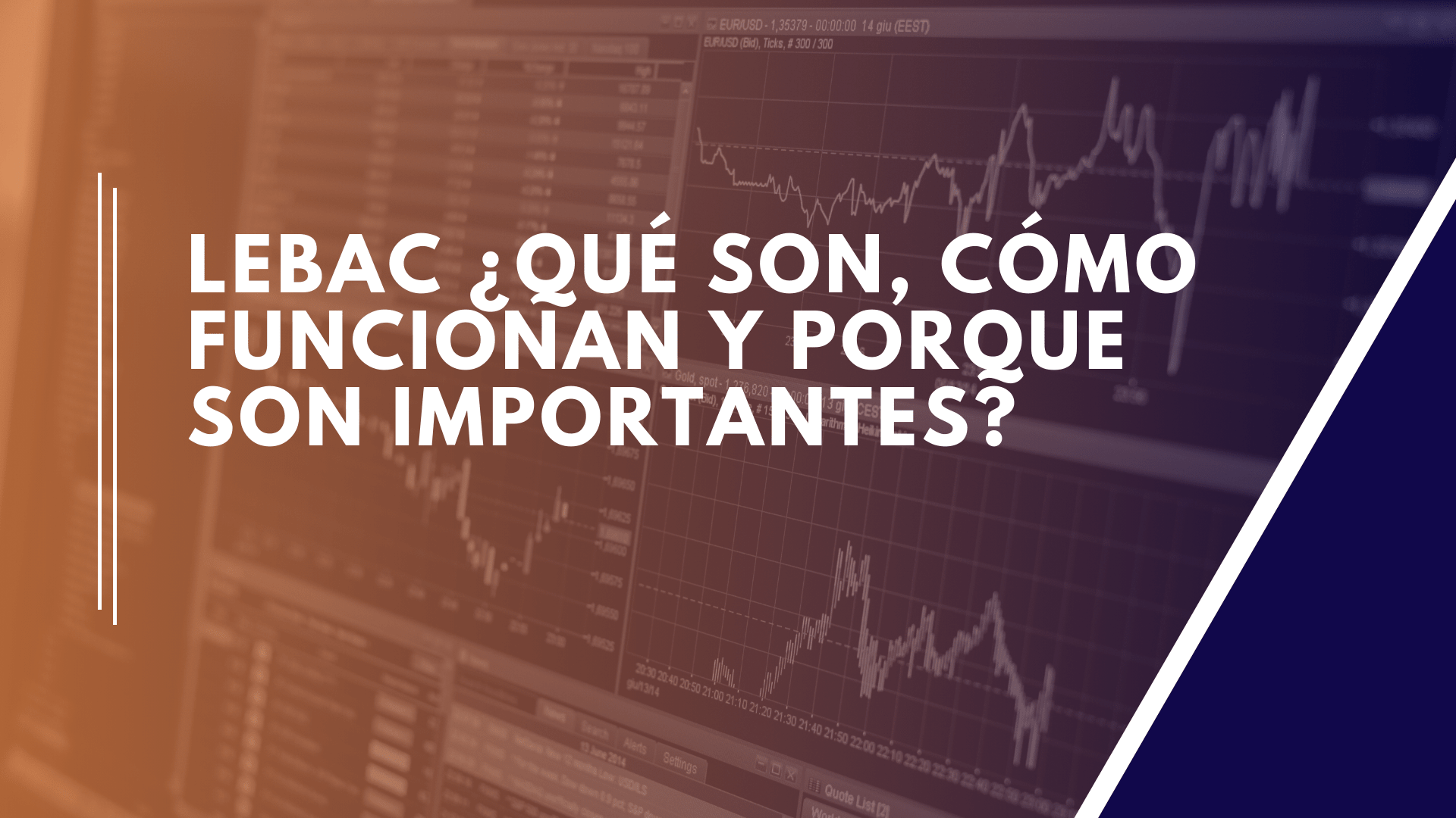 Lee más sobre el artículo Lebac ¿Qué son?