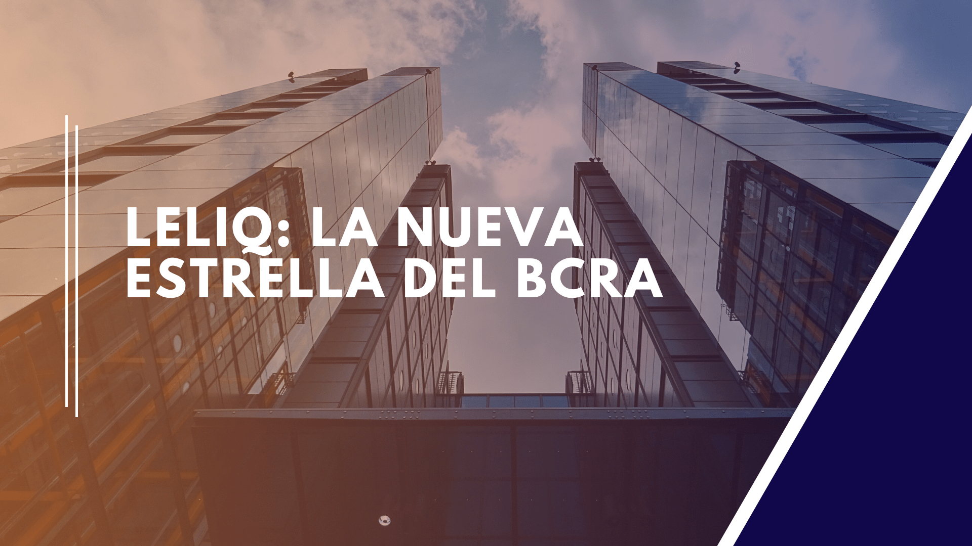 Lee más sobre el artículo ¿Qué son las Leliq?